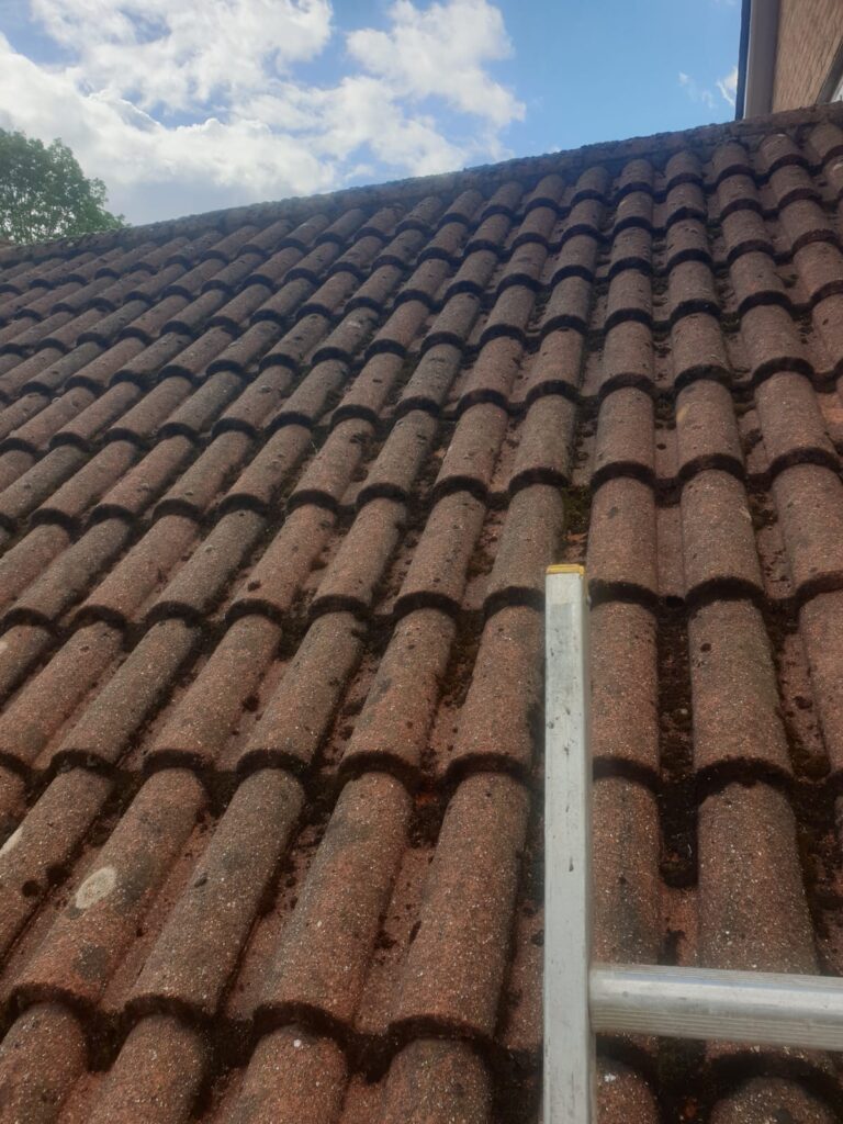 Roof cleaning Cardiff